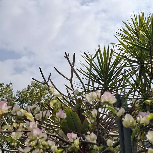 Photos Remplissage. Prévisions météo avec de superbes photos de Wen-ya Huang de Kaohsiung