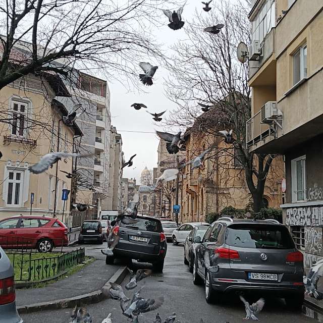 Прогнозы погоды с чудесными фотографиями, сделанными YanMir