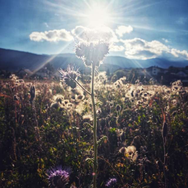 View. Weather forecasts with beautiful photos by Asarii Photos in Villach