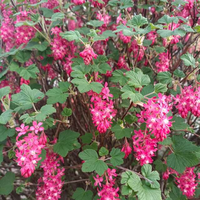 Ania-12の美しい写真による天気予報