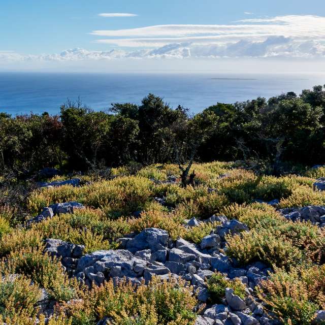 Weather forecasts with beautiful photos by jpfoto