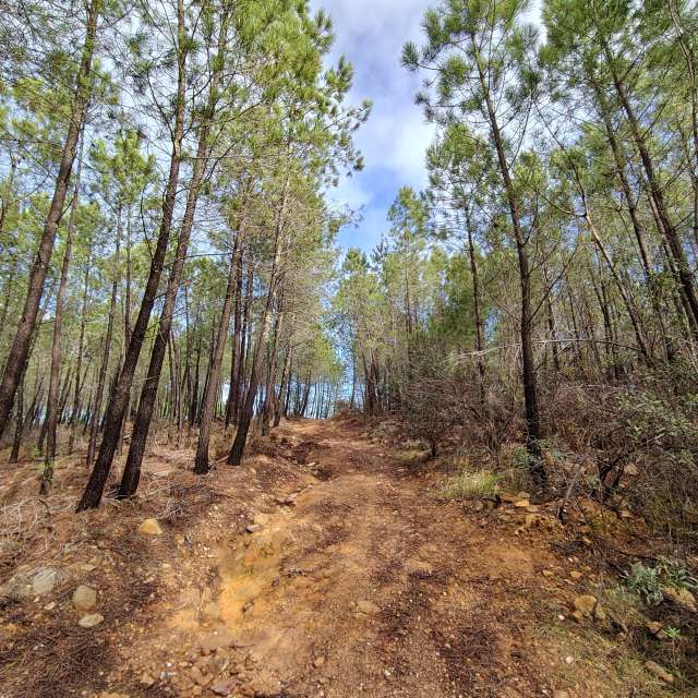 Weather forecasts with beautiful photos by Pcm407