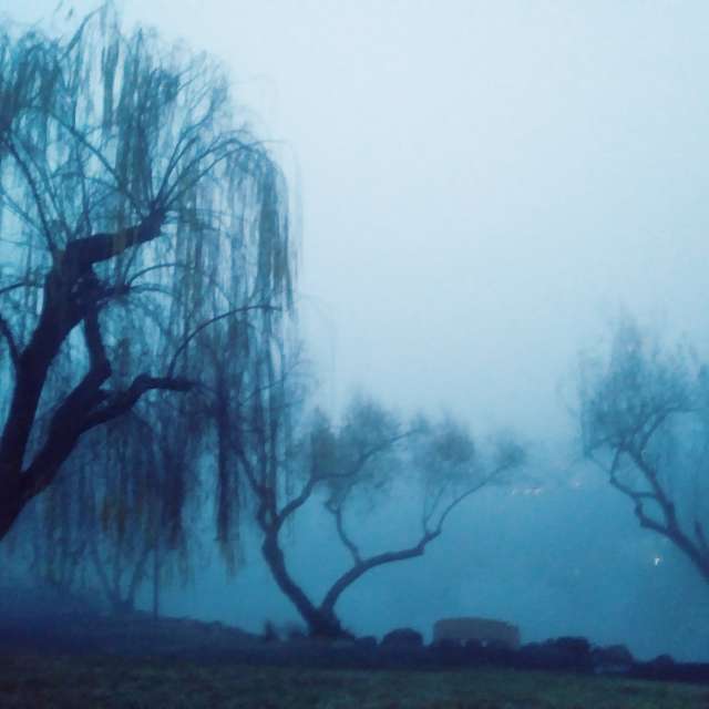 世界的天气照片. 天气预报，带Ghostroku精美的照片