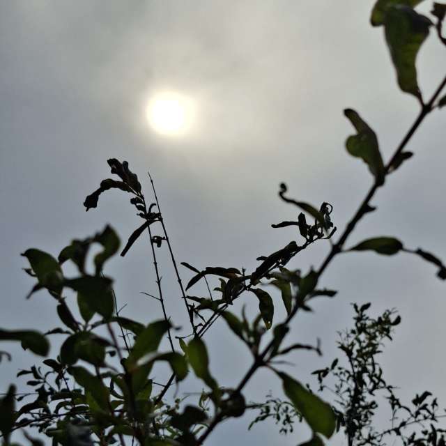 Clock. Weather forecasts with beautiful photos by Wen-ya Huang Photos in Kaohsiung City