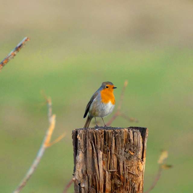 Weather forecasts with beautiful photos by tony5636