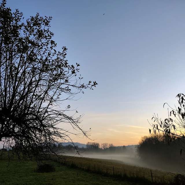 Anamarijaの美しい写真による天気予報