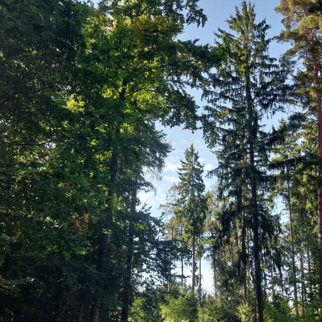 Previsões do tempo com lindas fotos de MaLou