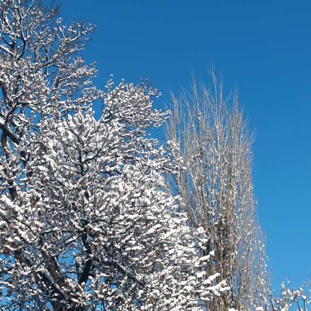 Fotos del Gente. Pronósticos del tiempo con hermosas fotos de YanBog en București