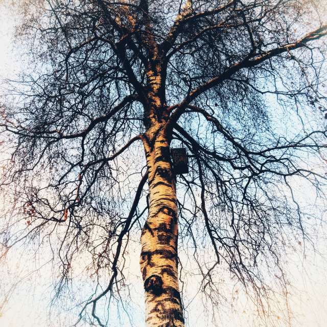 Lotti5507の美しい写真による天気予報