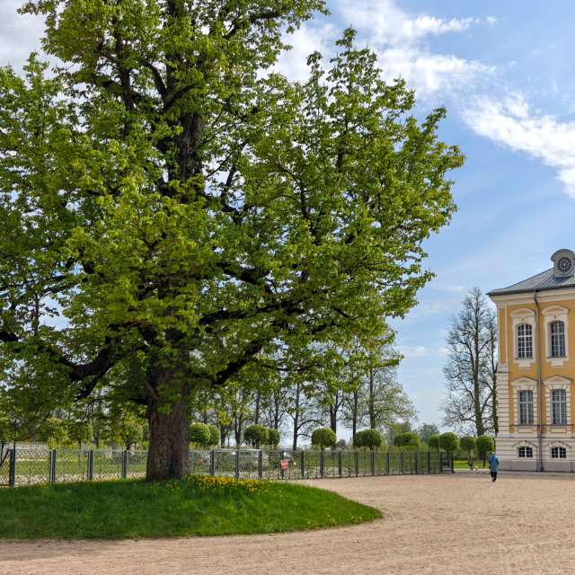 Previsões do tempo com lindas fotos de newgen