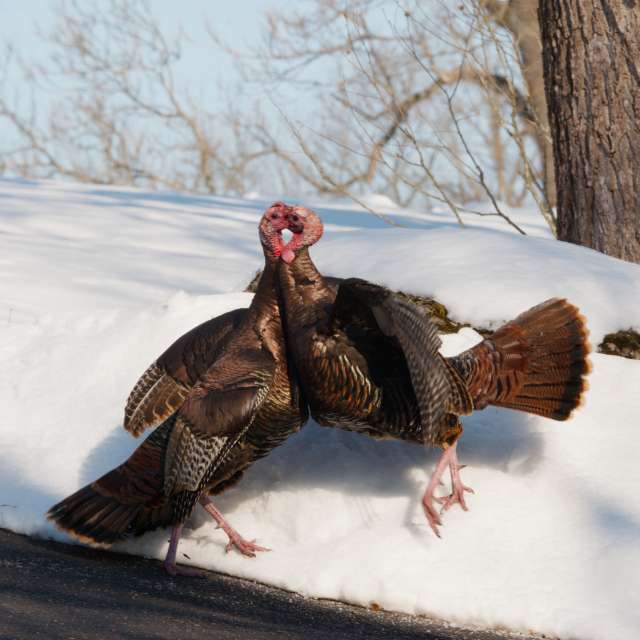 Dự báo thời tiết với những bức ảnh đẹp của krantzjh