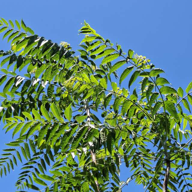 Photos Beach. Prévisions météo avec de superbes photos de Wen-ya Huang de Kaohsiung