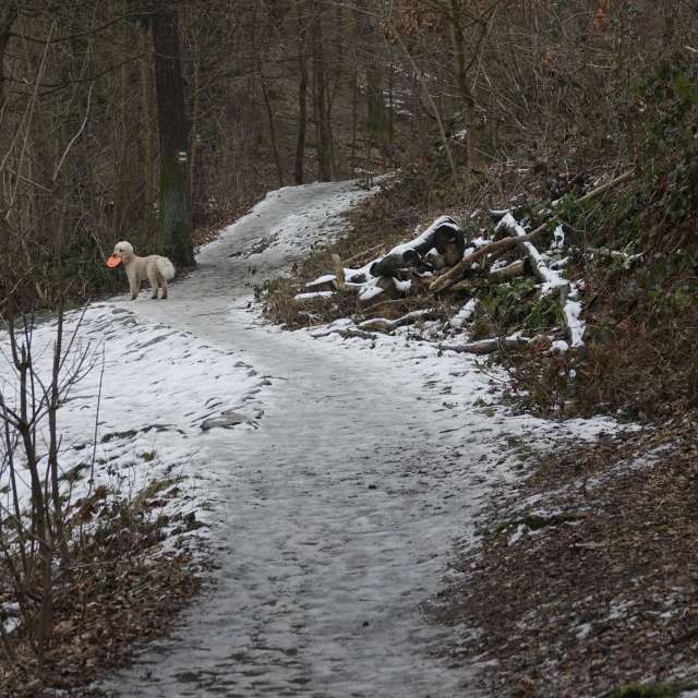 Fotos Abordado. Previsões do tempo com lindas fotos de Vasek325 em Praha 12
