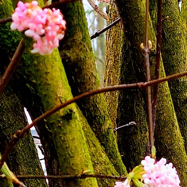 Wire. Weather forecasts with beautiful photos by Seni Photos in Velbert