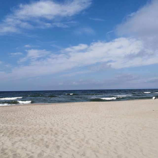 天气预报，带Gelimina_lion精美的照片