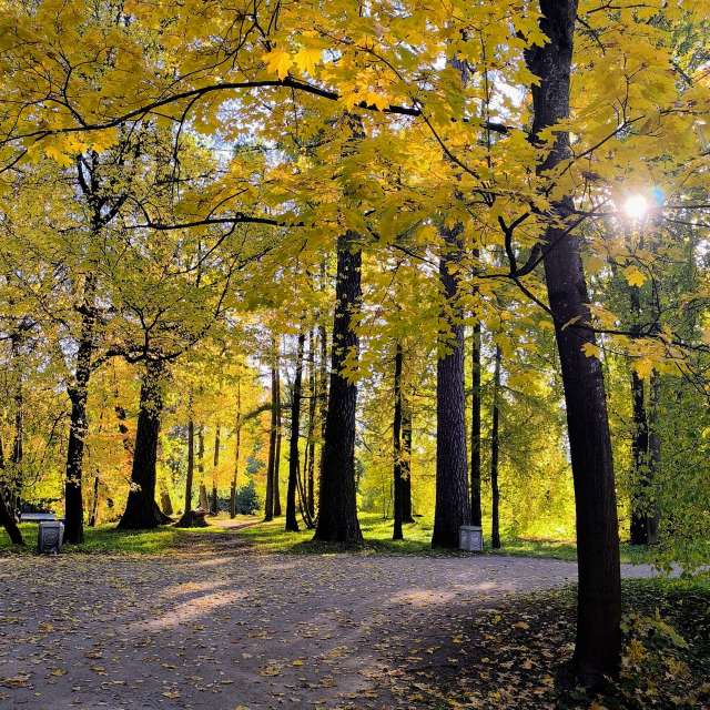 Jeaの美しい写真による天気予報
