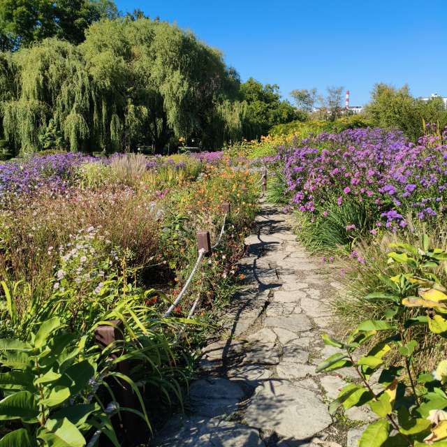 Forest. Weather forecasts with beautiful photos by InnaMoon Photos in Chisinau