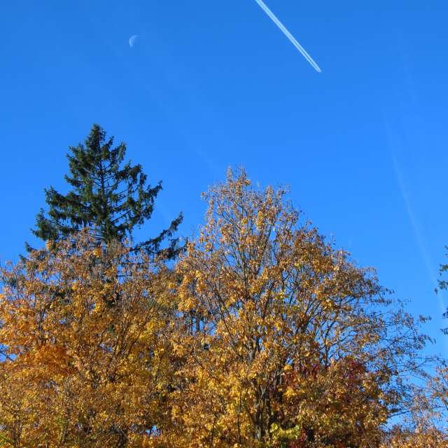 天气预报，带Sviatoslav精美的照片