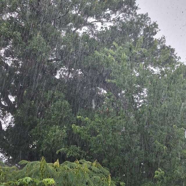 Wettervorhersagen mit schönen Fotos von DarkLord57