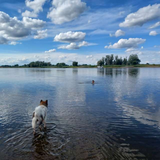 Weather forecasts with beautiful photos by Hikey