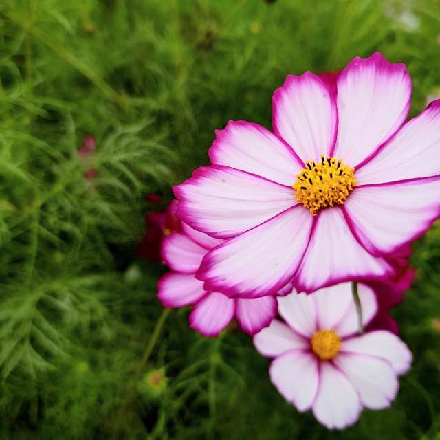 Прогнозы погоды с чудесными фотографиями, сделанными hachiperia