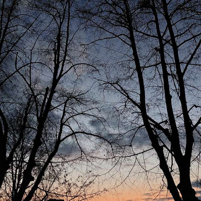 Light. Weather forecasts with beautiful photos by Iryna Photos in Kharkiv