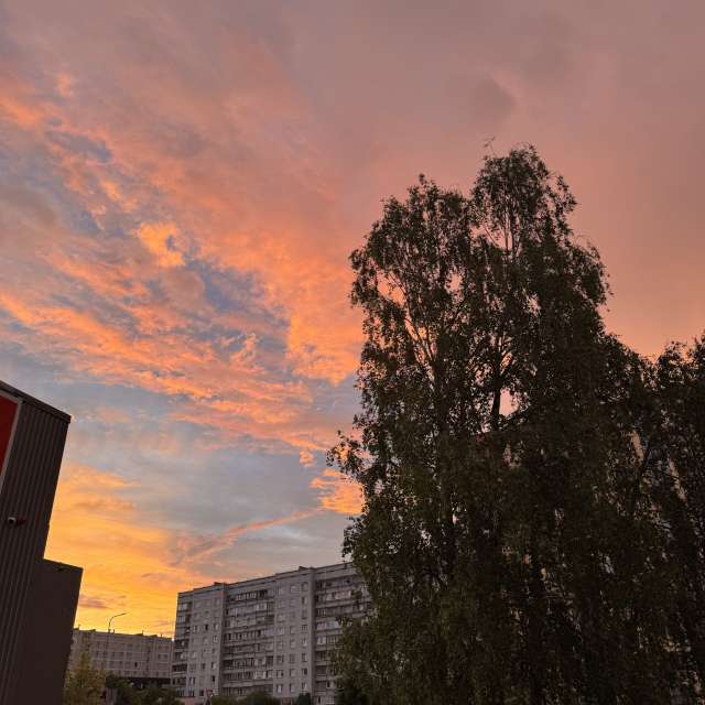 Traffic. Weather forecasts with beautiful photos by Svet-Lana Photos in Rīga