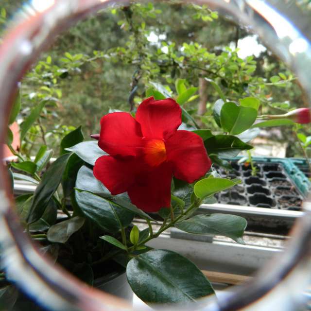 天气预报，带ivan-ko精美的照片