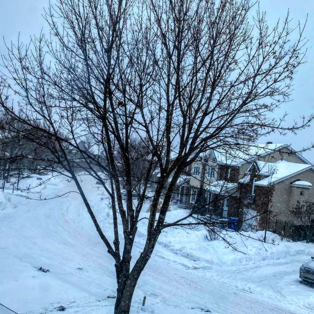 Going. Weather forecasts with beautiful photos by Lulu5523 Photos in le Plateau