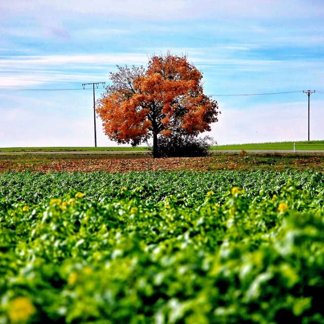Jesen. Wettervorhersagen mit schönen Fotos von Hela Fotos Bayern
