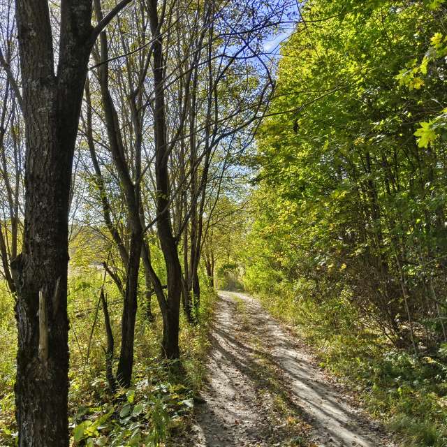 Riding. Weather forecasts with beautiful photos by Aleksei Photos in Tula
