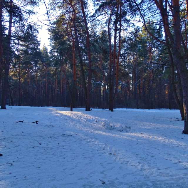 People. Weather forecasts with beautiful photos by Михаил Гавриков Photos in Kharkiv