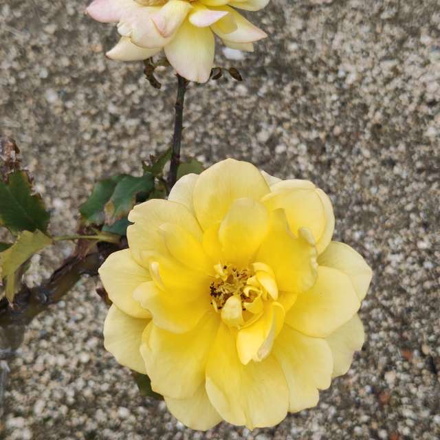 Fotos Contador. Previsões do tempo com lindas fotos de あさのジジ em Okayama