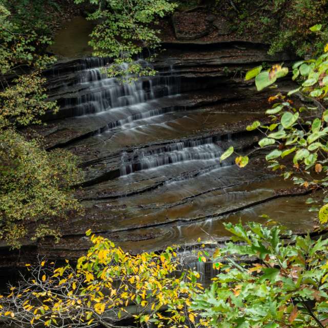 Trees. Weather forecasts with beautiful photos by krantzjh Photos in Clifty Falls State Park