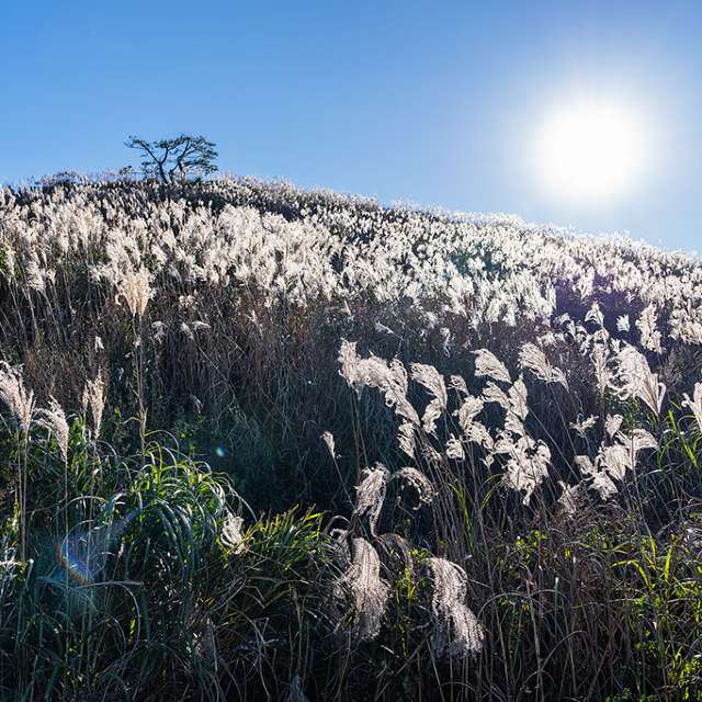 Weather forecasts with beautiful photos by yunyangsu