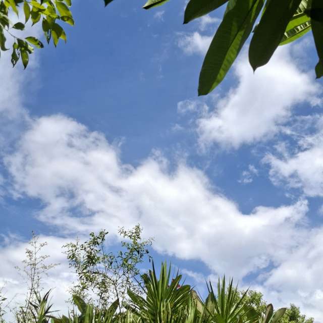 Photos Sablonneux. Prévisions météo avec de superbes photos de Wen-ya Huang de Kaohsiung