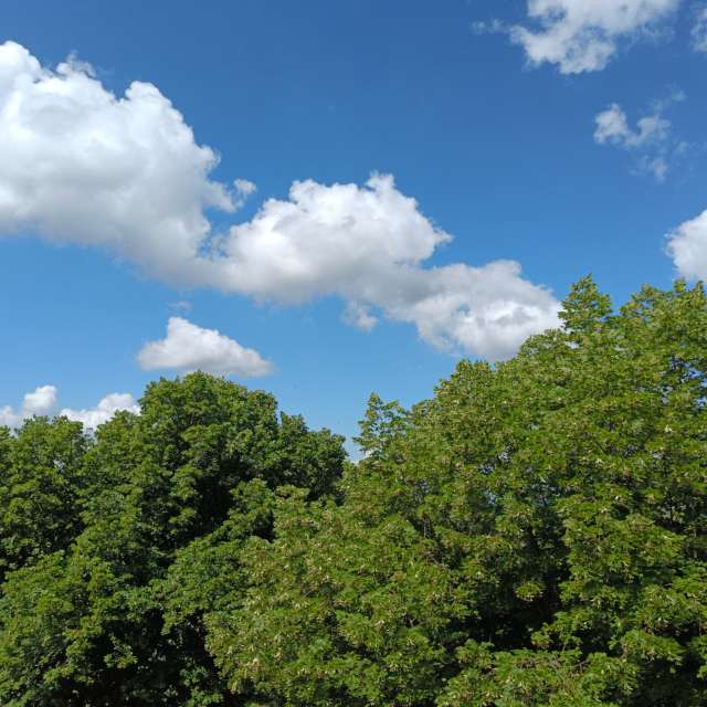 天气预报，带Doc_H精美的照片