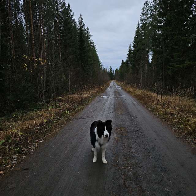Previsões do tempo com lindas fotos de Piia