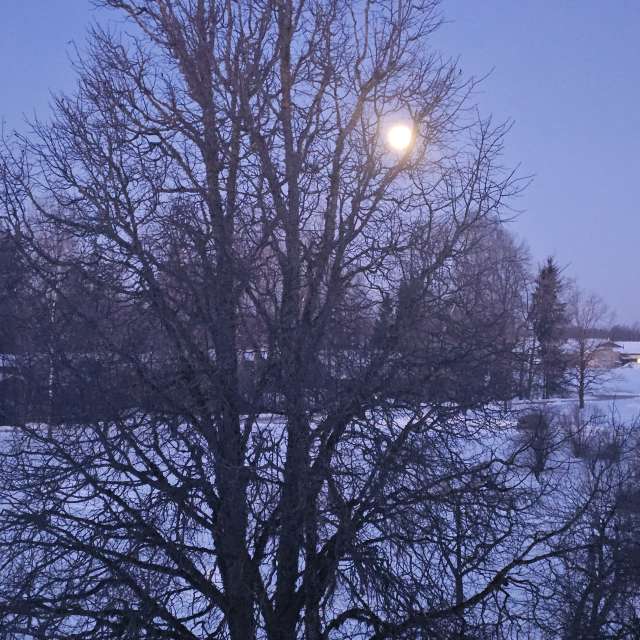 Pronósticos del tiempo con hermosas fotos de Sandra Bokisha