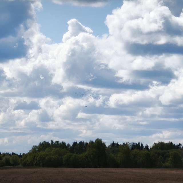 Body. Weather forecasts with beautiful photos by Valiukas Photos in Lithuania