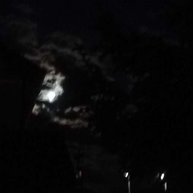 Sitzung. Wettervorhersagen mit schönen Fotos von Muschelschloss Fotos Bayern