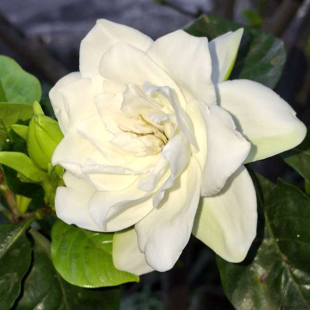 Fotos Vidro. Previsões do tempo com lindas fotos de Wen-ya Huang em Kaohsiung City