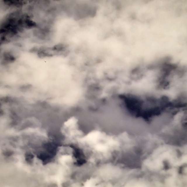 Photos Troupeau. Prévisions météo avec de superbes photos de Wen-ya Huang de Kaohsiung