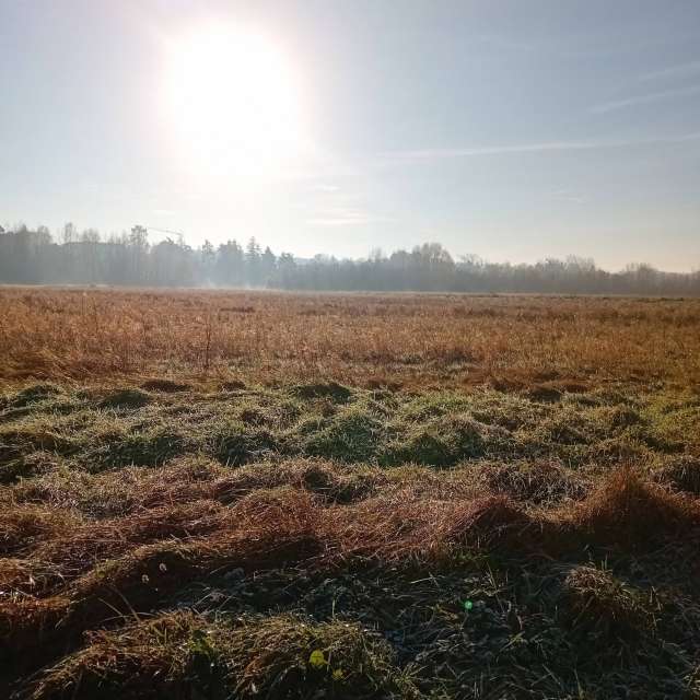 Wettervorhersagen mit schönen Fotos von oakydoki