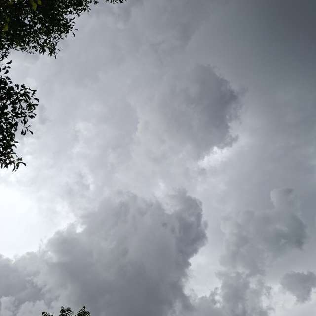 Going. Weather forecasts with beautiful photos by Wen-ya Huang Photos in Kaohsiung City