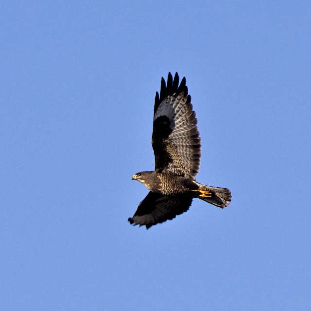 Tom44の美しい写真による天気予報