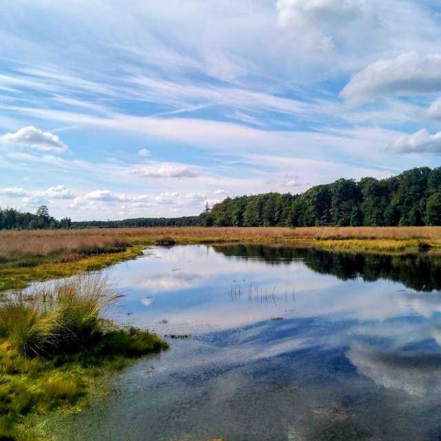 Glasmanの美しい写真による天気予報