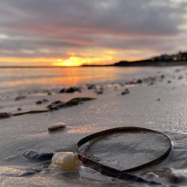Pronósticos del tiempo con hermosas fotos de prairiesands