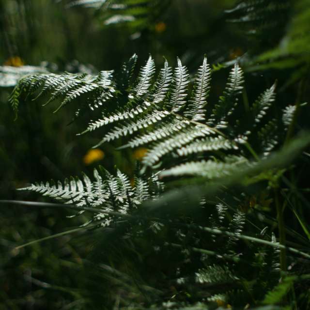 Weather. Weather forecasts with beautiful photos by tony5636 Photos in Calvisson