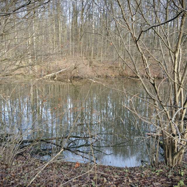 天气预报，带Aleksei精美的照片